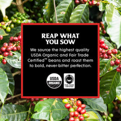 Medium Roast + Valhalla Java Bundle